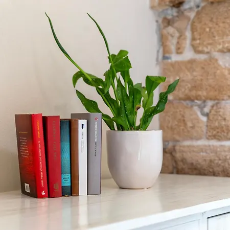 Dimora Sella בית הארחה